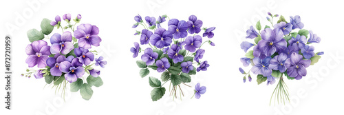 Beautiful Watercolor Bouquets of Purple Flowers with Green Leaves isolate on Transparent Background