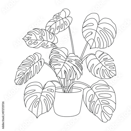 Monstera houseplants. Potted plant outline vector. Line art indoor flower in a flowerpot. Doodle sketch house plant in a pot for home decor. Botanical floral element. Illustration on white background.