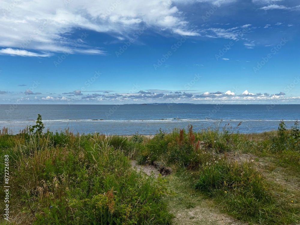 Scenic coastal landscape with lush greenery, a sandy path, and a clear blue sky over the ocean. Scenic coastal landscape with lush greenery, a sandy path, and a clear blue sky over the ocean.