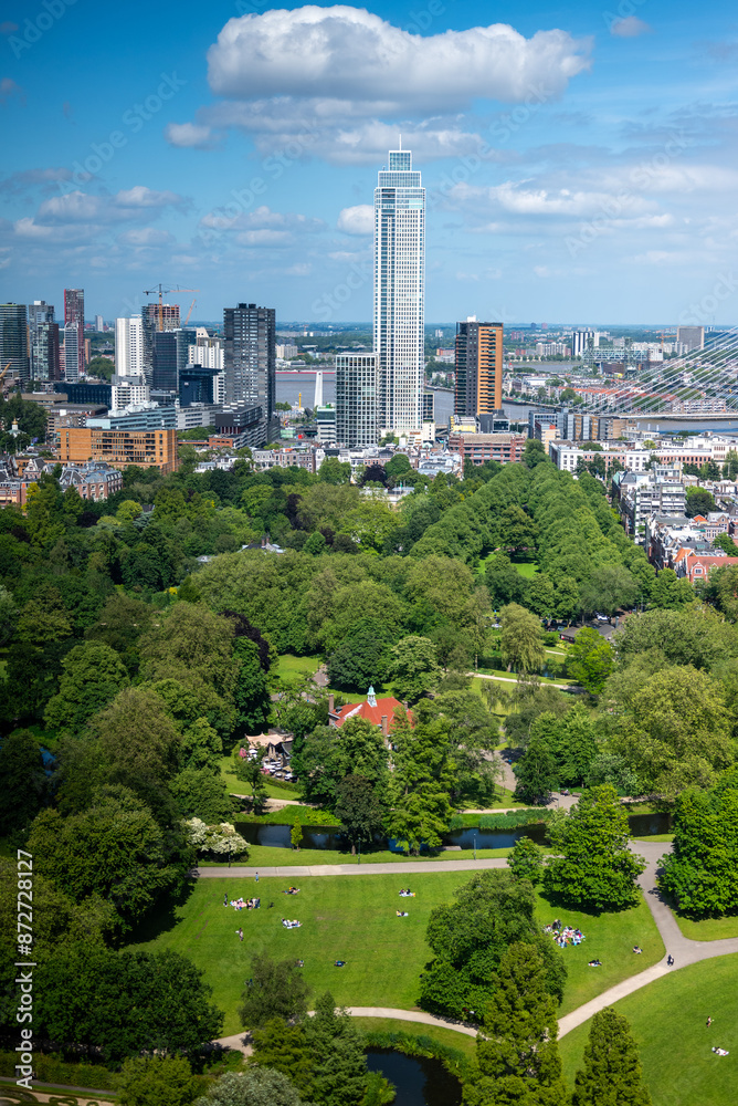 Obraz premium The city of Rotterdam in the Netherlands. 