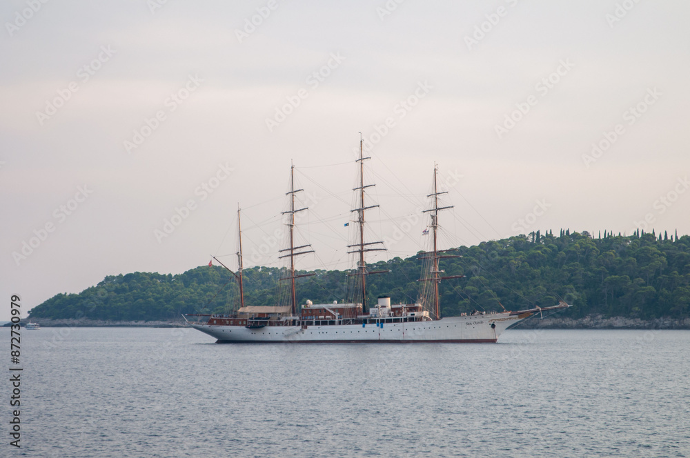 Fototapeta premium Sailing ships and yachts in the sea
