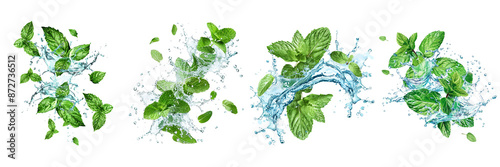 Mint leaves and water splash isolated on transparent png background