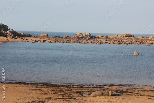 Côte de granite rose, Bretagne photo