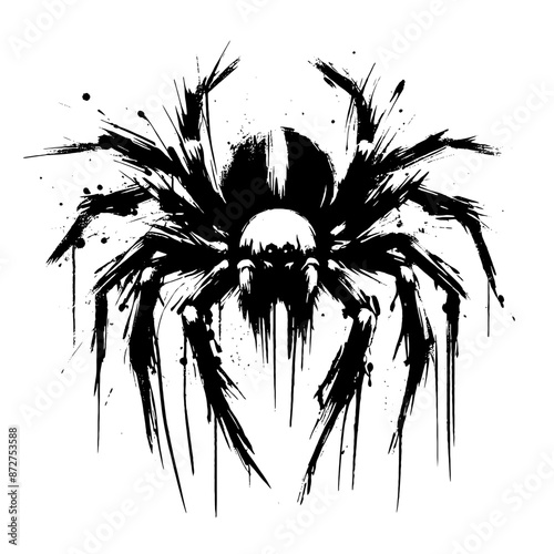 Spider, tarantula  in illustration in brush stroke painting
