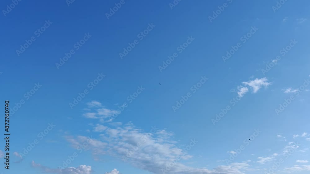 Birds flying through the sky with balls of clouds and cumulus clouds appearing at dawn