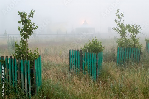 Morning Mists in a Foggy Field