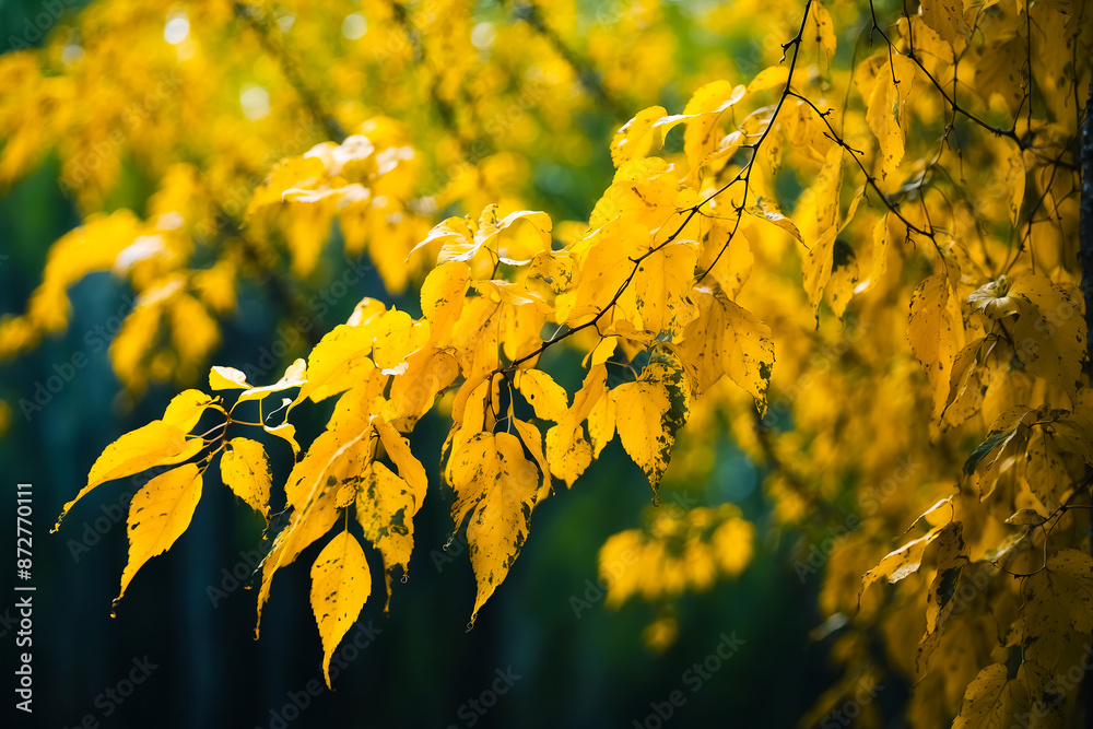 Obraz premium Golden Autumn Leaves