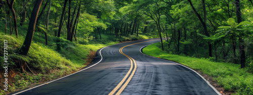 empty Asphalt car travel road passes through middle of beautiful green foliage rural forest with large trees on both side during sunny summer day