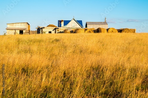 Serene rural scenery of a farming sunlit fields under a clear sky