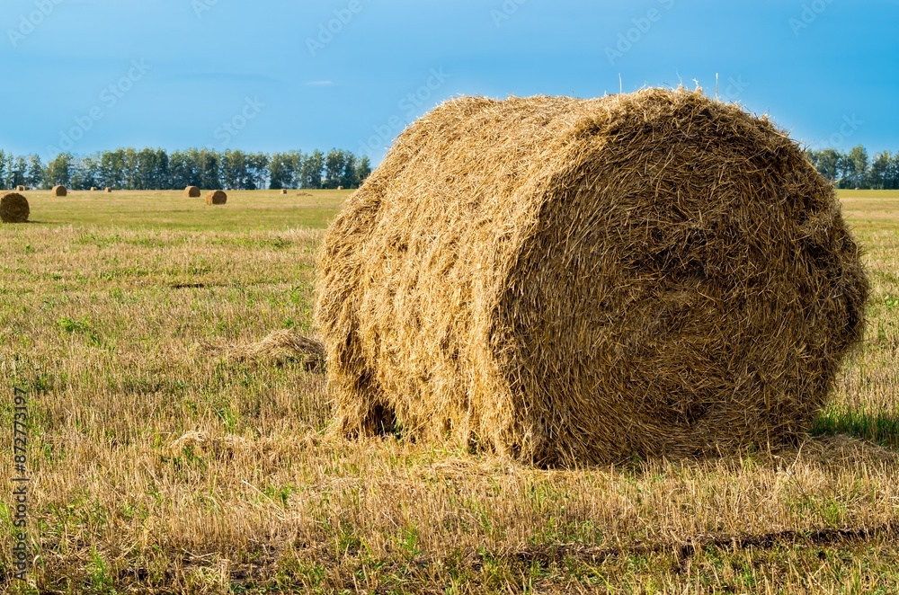 Harvest Time in the Rural Midwest Harvest Time in the Rural Midwest