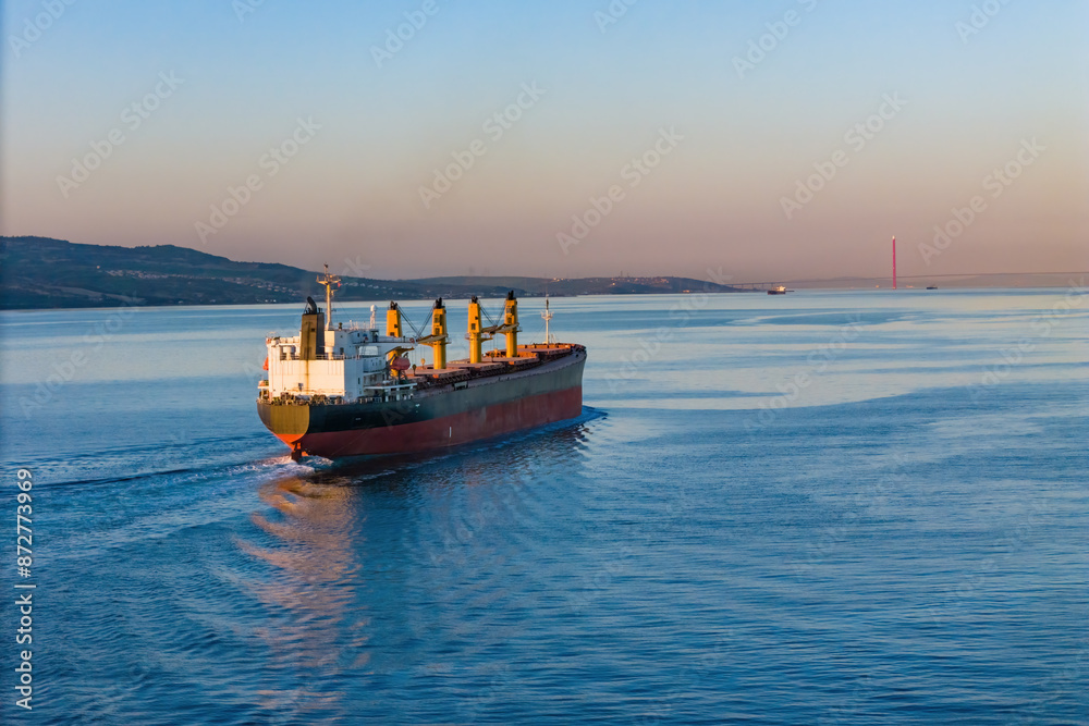 Fototapeta premium Bulk carrier or bulker is a merchant ship for unpackaged bulk cargo. Aerial wide shot