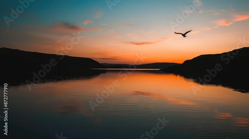 Silhouette of a bird flying over a calm lake at sunset © buraratn