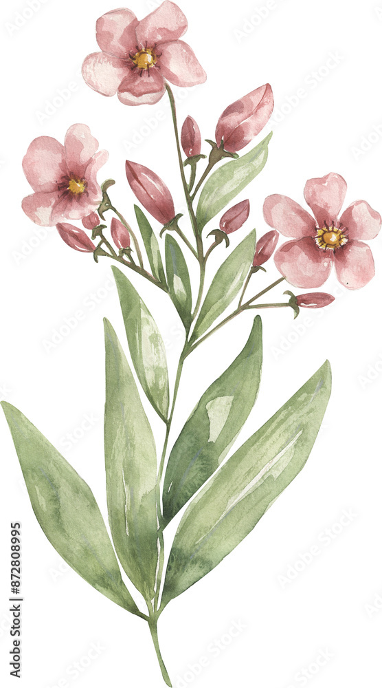 Obraz premium Watercolor meadow florals bouquet illustration, wildflowers clipart, oleander flower field flower branch