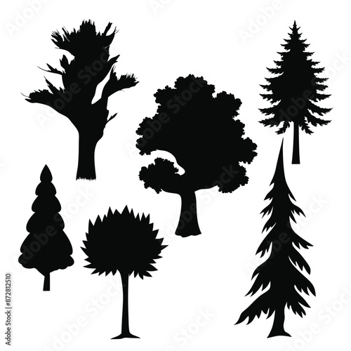 Tree sihlouette