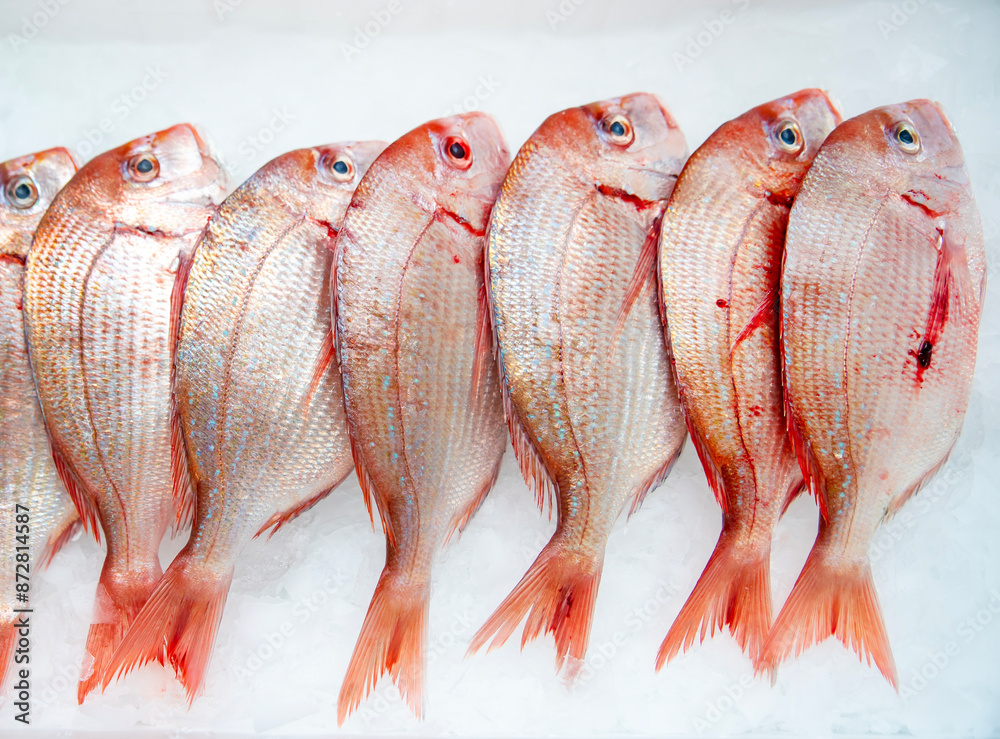 Madai, a bright red fish from Japan, has good taste and is commonly ...