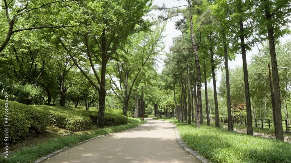 Natural Scenery of Seonyudo Park in Korea Natural Scenery of Seonyudo Park in Korea