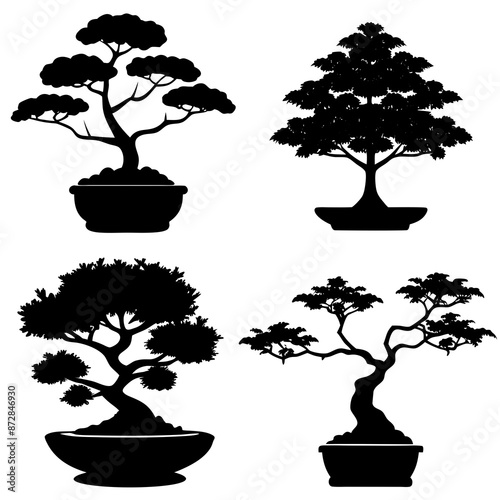 


      Bonsai vector silhouette illustration.
