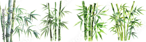 Watercolor set of bamboo traditional chinese ink