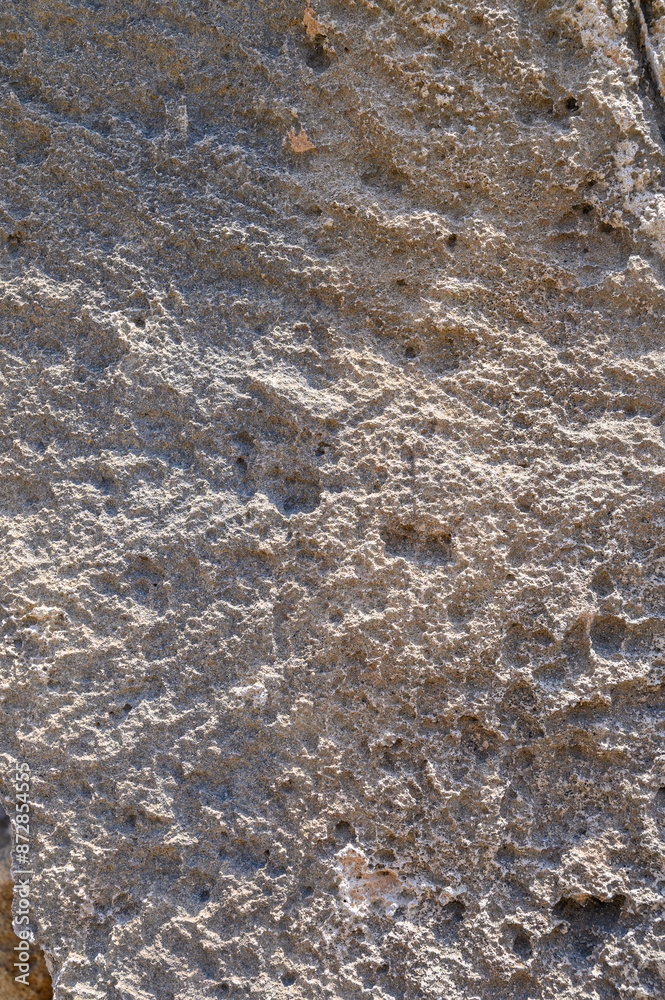 Limestone Fossils texture background 2 Limestone Fossils texture background 2