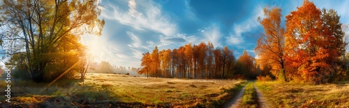 Autumn Forest Meadow with Sun Rays and Path