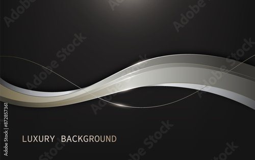 Elegant abstract silver waves on a black background