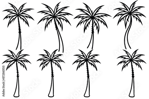 Palm Tree Inspiring Line Art Illustration Styles Ideas