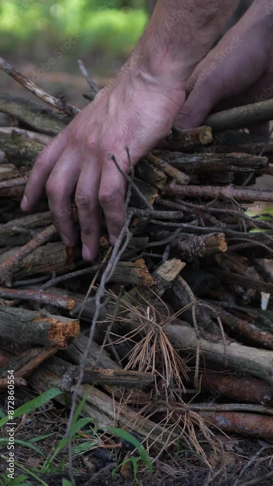 Firewood in the forest. Сampfire preparation Firewood in the forest. Сampfire preparation