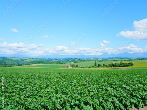 北海道の絶景 美瑛かしわ公園からの風景