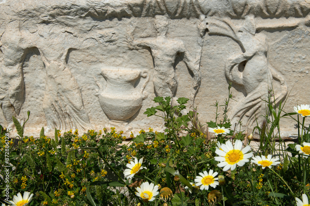 Knidos Ancient City In Datca Peninsula Column Ruins Of Knidos Ancient knidos-ancient-city-in-datca-peninsula-column-ruins-of-knidos-ancient