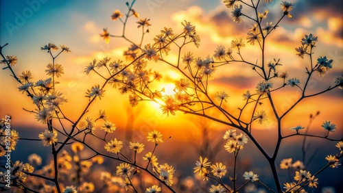 Delicate silhouetted flower branches against a serene sunset sky with warm golden hues and subtle gradient shading.