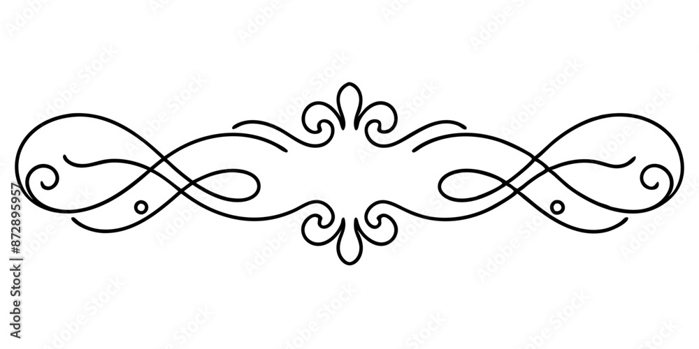 beautiful graphic with a black elegant plant ornament on an isolated background beautiful graphic with a black elegant plant ornament on an isolated background