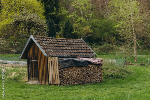 Forest warden hut forest lodge, small house of Forester in the old pinery taiga, boreal forest in vintage style