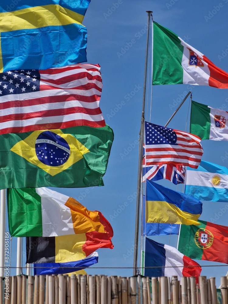 Obraz premium flags
