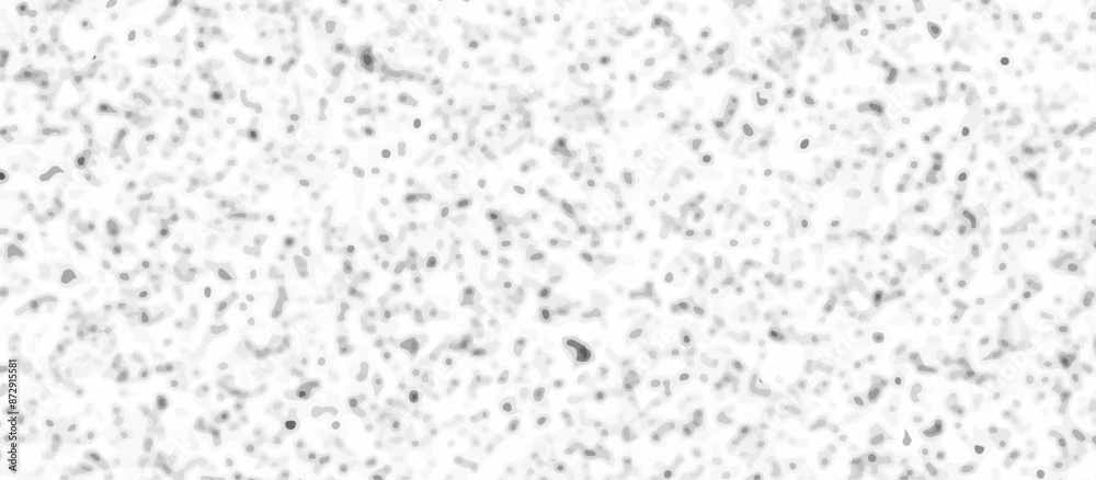 Fototapeta premium Abstract gray and white quartz terrazzo marble tile background. Terrazzo stone mosaic texture. quartz surface for bathroom or kitchen countertop. marble texture design terrazzo texture. 