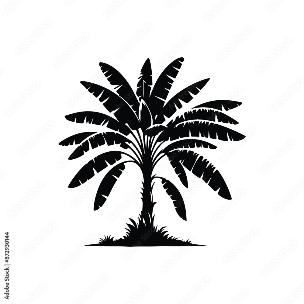 Obraz premium banana tree silhouette and vector image