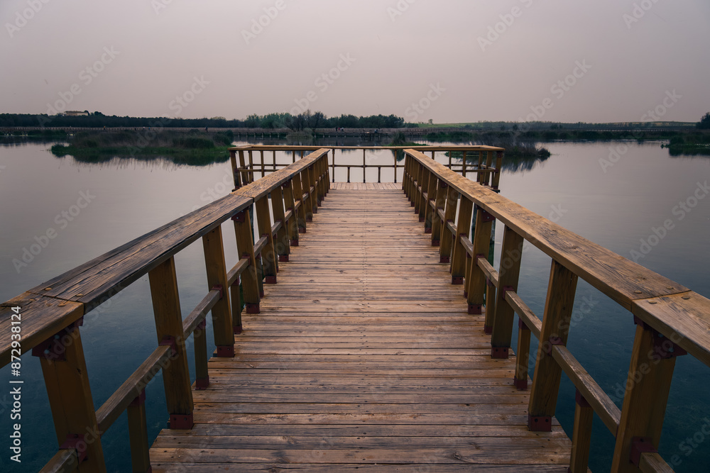 panoramic view in the Las Tablas de Daimiel national park, Castilla la Mancha, Spain. panoramic view in the Las Tablas de Daimiel national park, Castilla la Mancha, Spain.