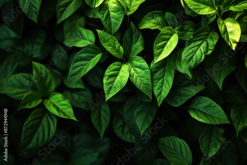 Green leaf background with a black background, Closeup green leaves background, Overlay fresh leaf pattern, Natural foliage textured, AI generated