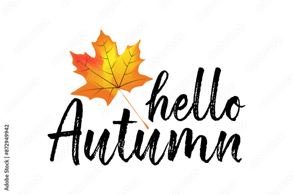Calligraphic black text Hello Autumn on a white background. Falling autumn bright maple leaf near the text. Isolated design Calligraphic black text Hello Autumn on a white background. Falling autumn bright maple leaf near the text. Isolated design