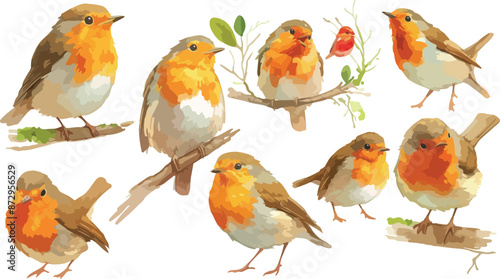 baby robin bird watercolor clipart