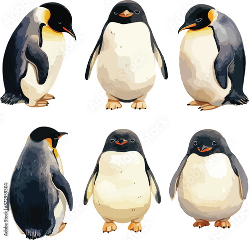 penguin watercolor clipart