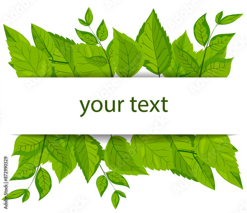 A vector featuring a square white frame embellished with vibrant green leaves. lush foliage surrounds the frame, creating a fresh, natural, and eco-friendly theme suitable. Mockup, template