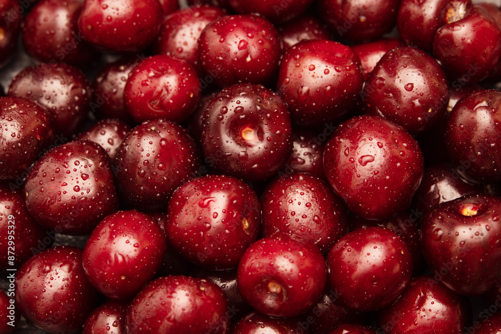 juicy, delicious cherries in a splash of water on a dark background. juicy, delicious cherries in a splash of water on a dark background.