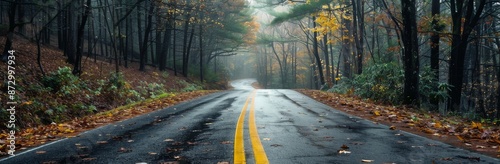 Winding Asphalt Road Through a Misty Autumn Forest