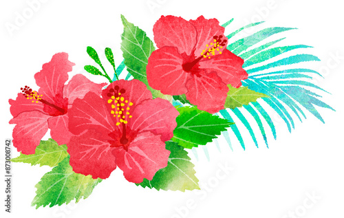 ハイビスカスの花　夏　手描きイラスト　南国イメージ