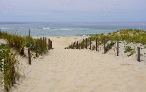 A path through the sand dunes towards the sea, Cap Ferret, France 