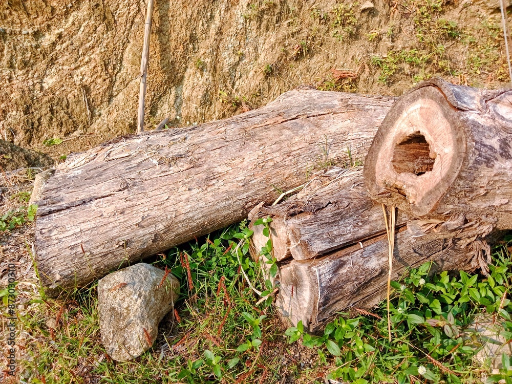 portrait of pile of old wood lying in field portrait of pile of old wood lying in field