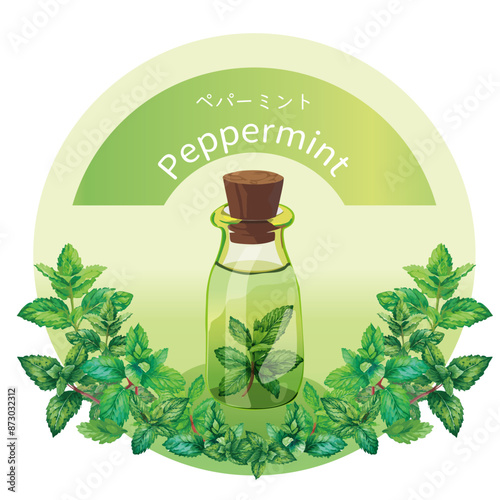ペパーミントとペパーミントの精油瓶・精油・アロマ・芳香植物
