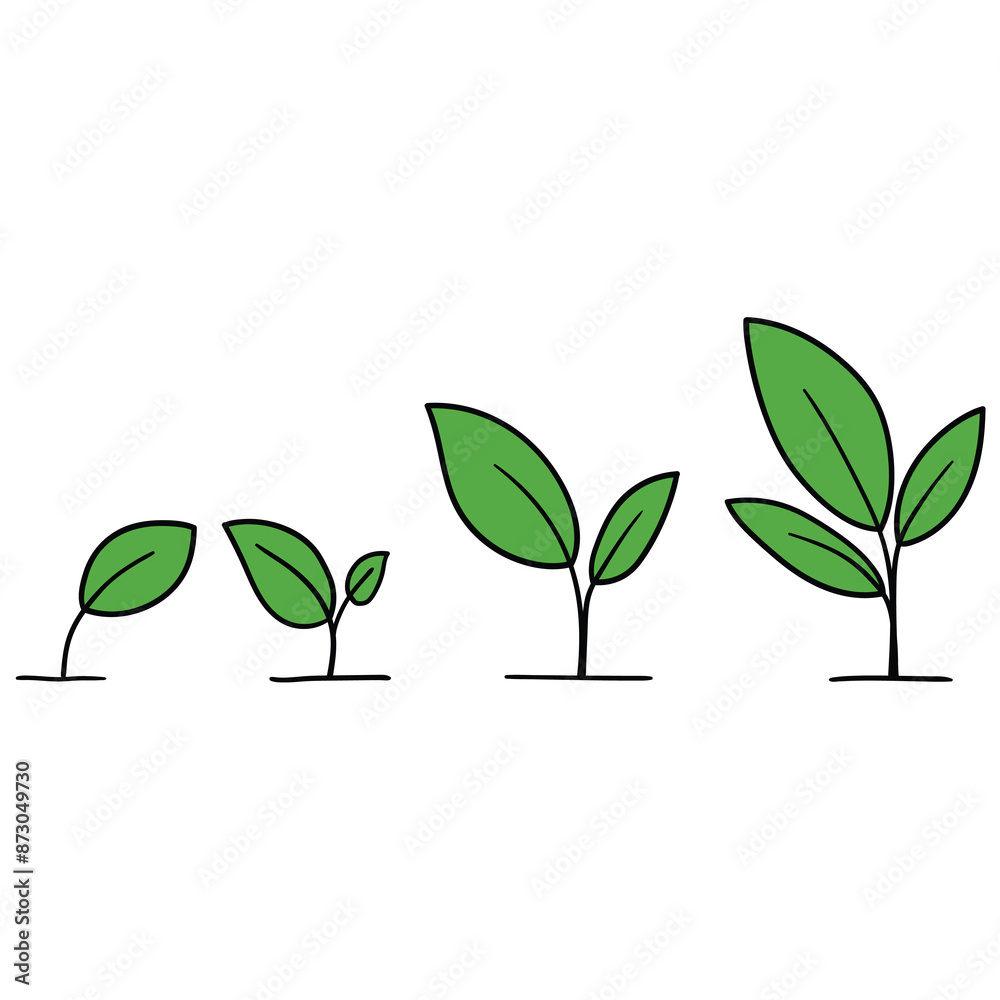 Hand drawn cartoon process growing plant on white background. Concept gardening, evolution and germination. Hand drawn cartoon process growing plant on white background. Concept gardening, evolution and germination.