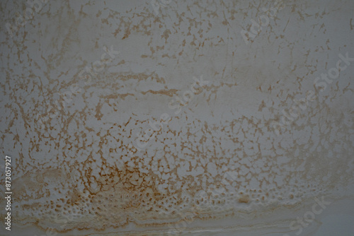 Water Damage on Ceiling