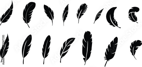Set of Bird Feather. Feathers vector set in a flat style. Pen icon. Black quill feather silhouette. Plume let collection.vector eps10